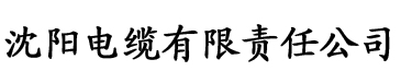 香蕉久久久久成人av麻豆影院电缆厂logo